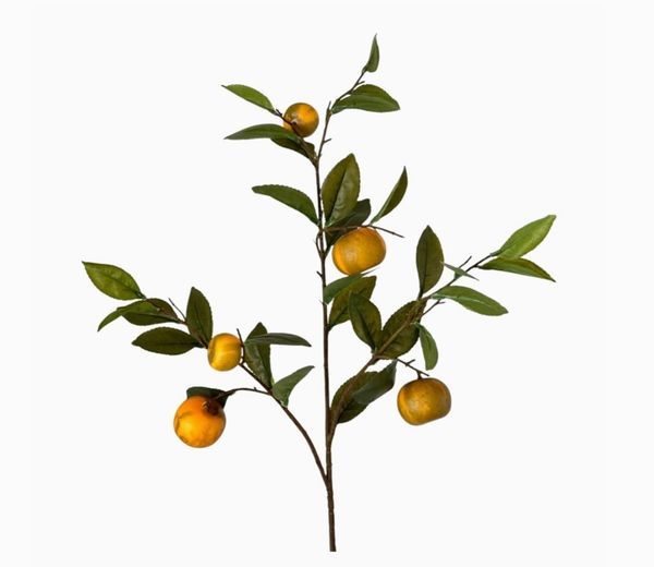 Mandariinioksa 87 cm