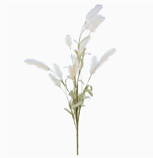 Koristeoksa Small Pampas 65 cm