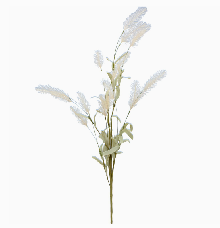 Koristeoksa Small Pampas 65 cm