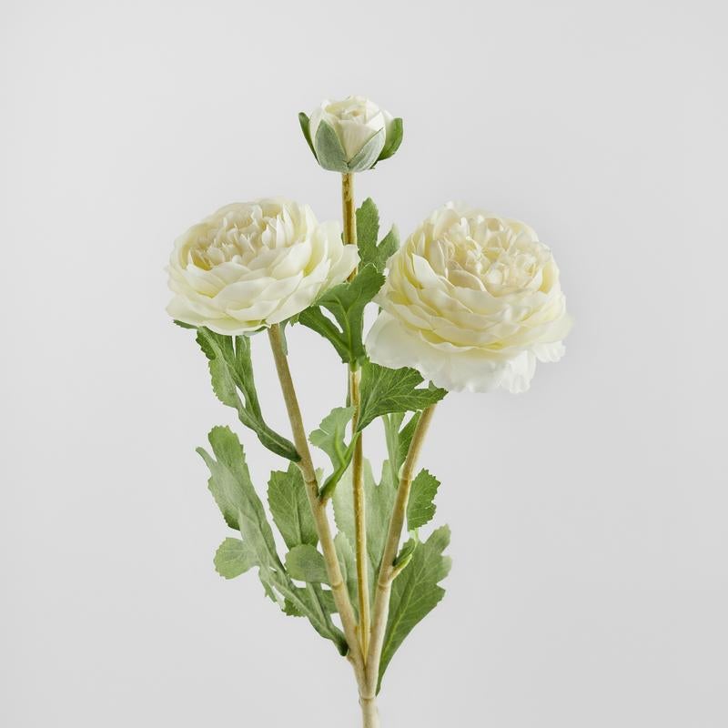 Koristeoksa Ramoso valkoinen